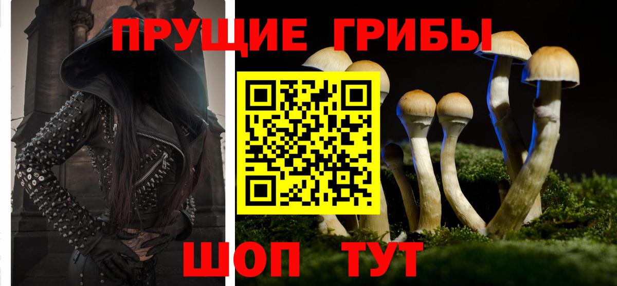Псилоцибиновые грибы мицелий  наркотики  Шуя  Вход с VPN 