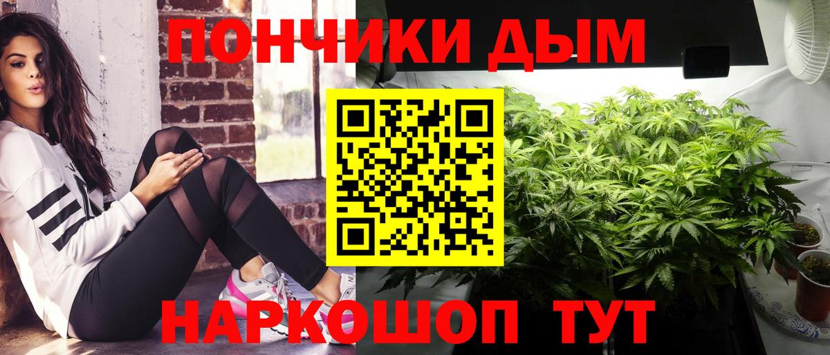 Конопля марихуана Шуя